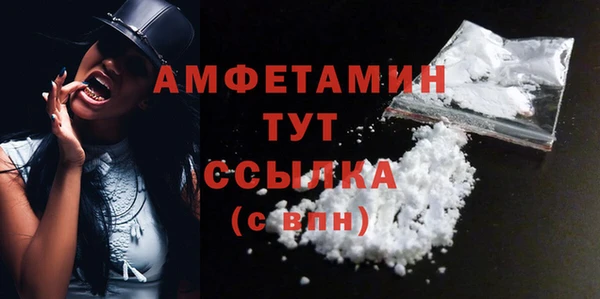 гидра Арсеньев