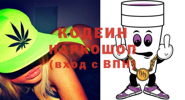 крисы Сатка